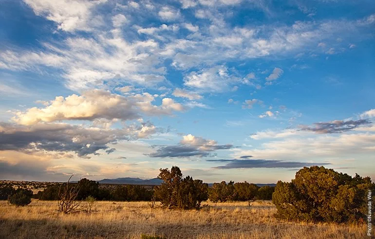 One’s sense of the New Mexico landscape is intimately tied to its enormous and impressive skies and its particular quality of light.