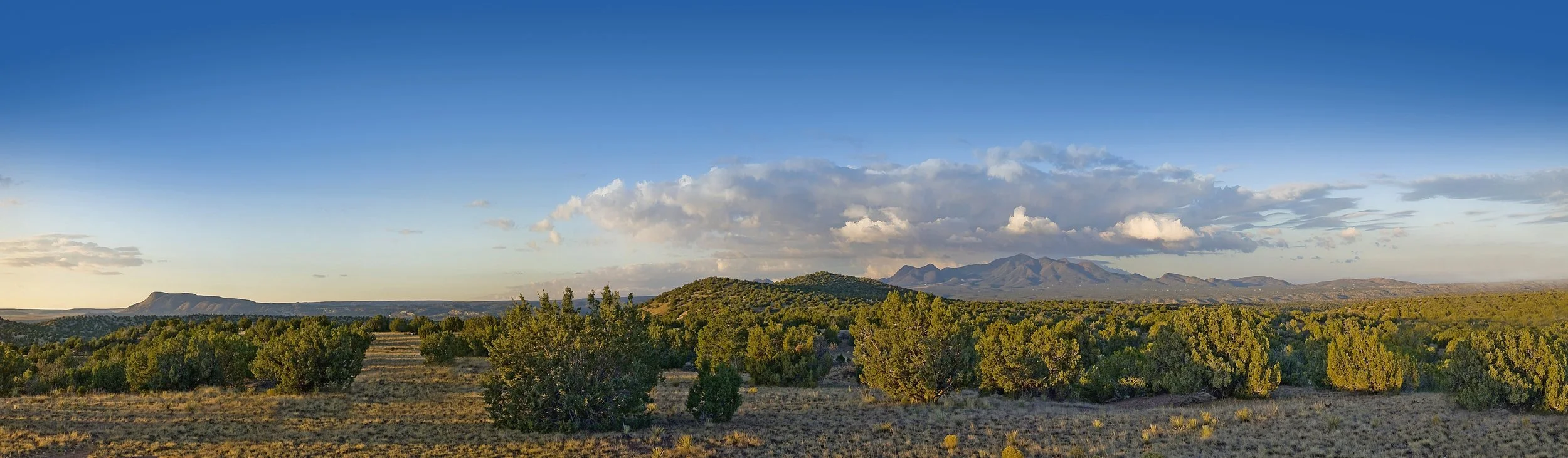west_basin_pano_2 copy.jpg