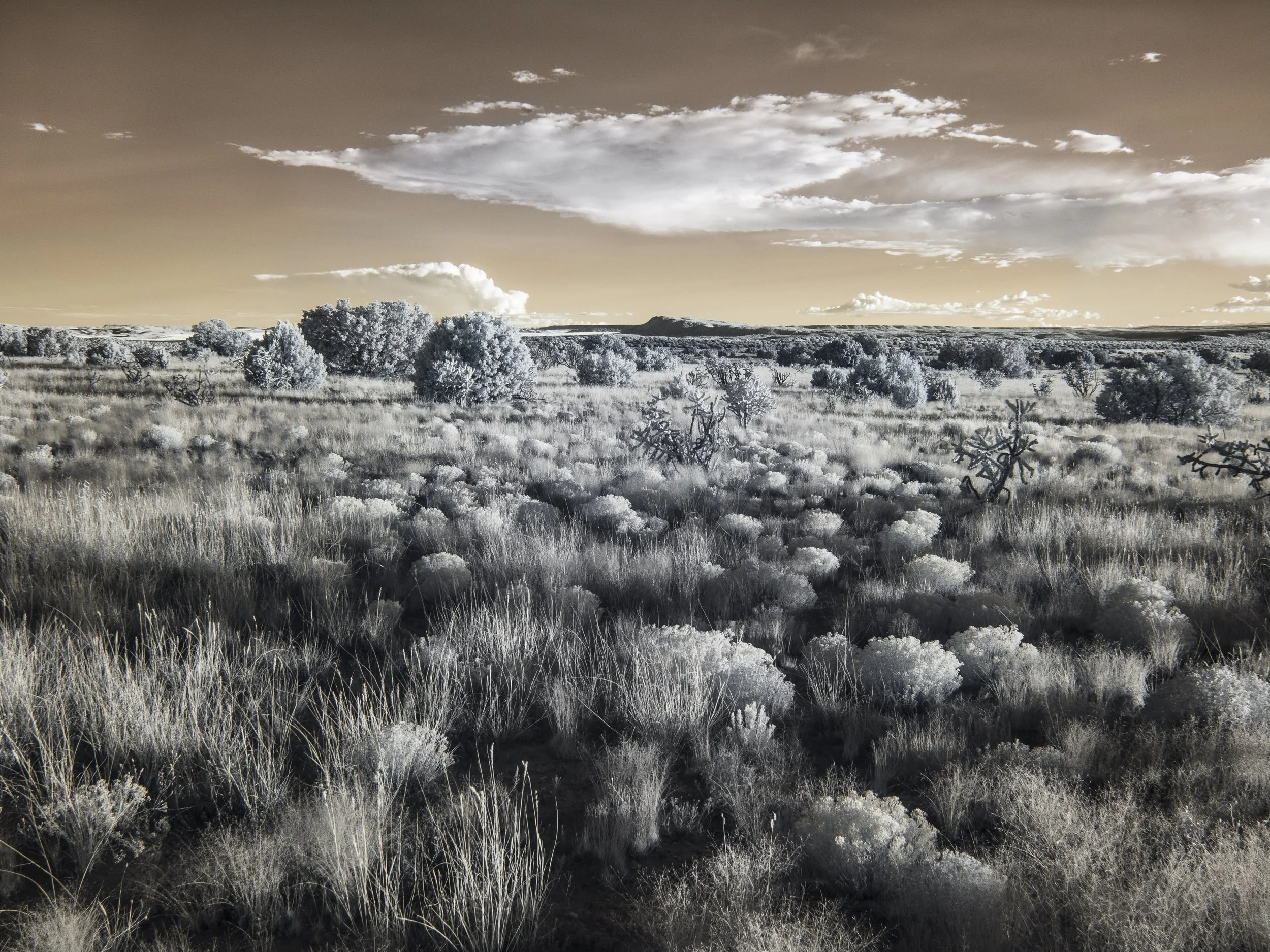 201409_Flywheel_532_v1 copy.jpg