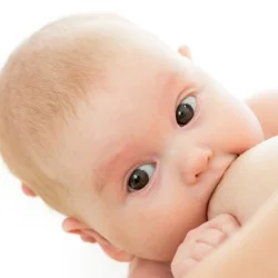shutterstock Breastfeeding Baby Licenced to Baby Garten Studio.jpg