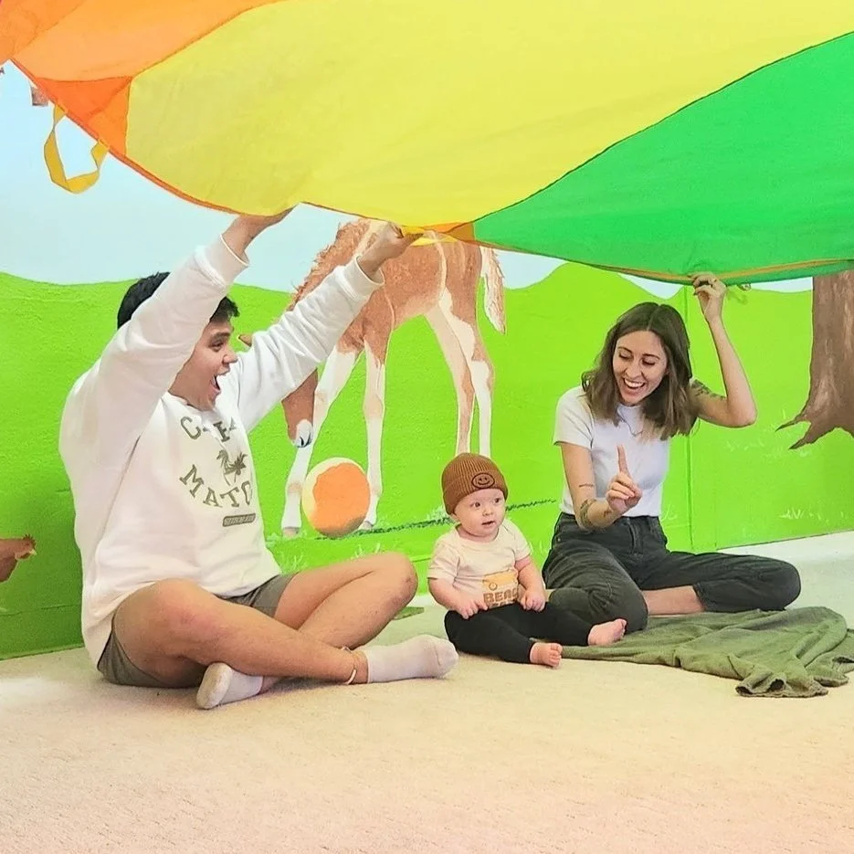 Baby Sign Basics- Choose Tues, Fri, Sat  11:15 or 12:15
