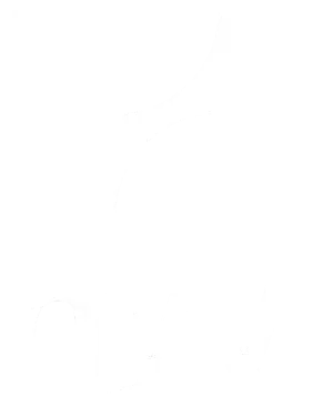 logo-hyvi-white.png