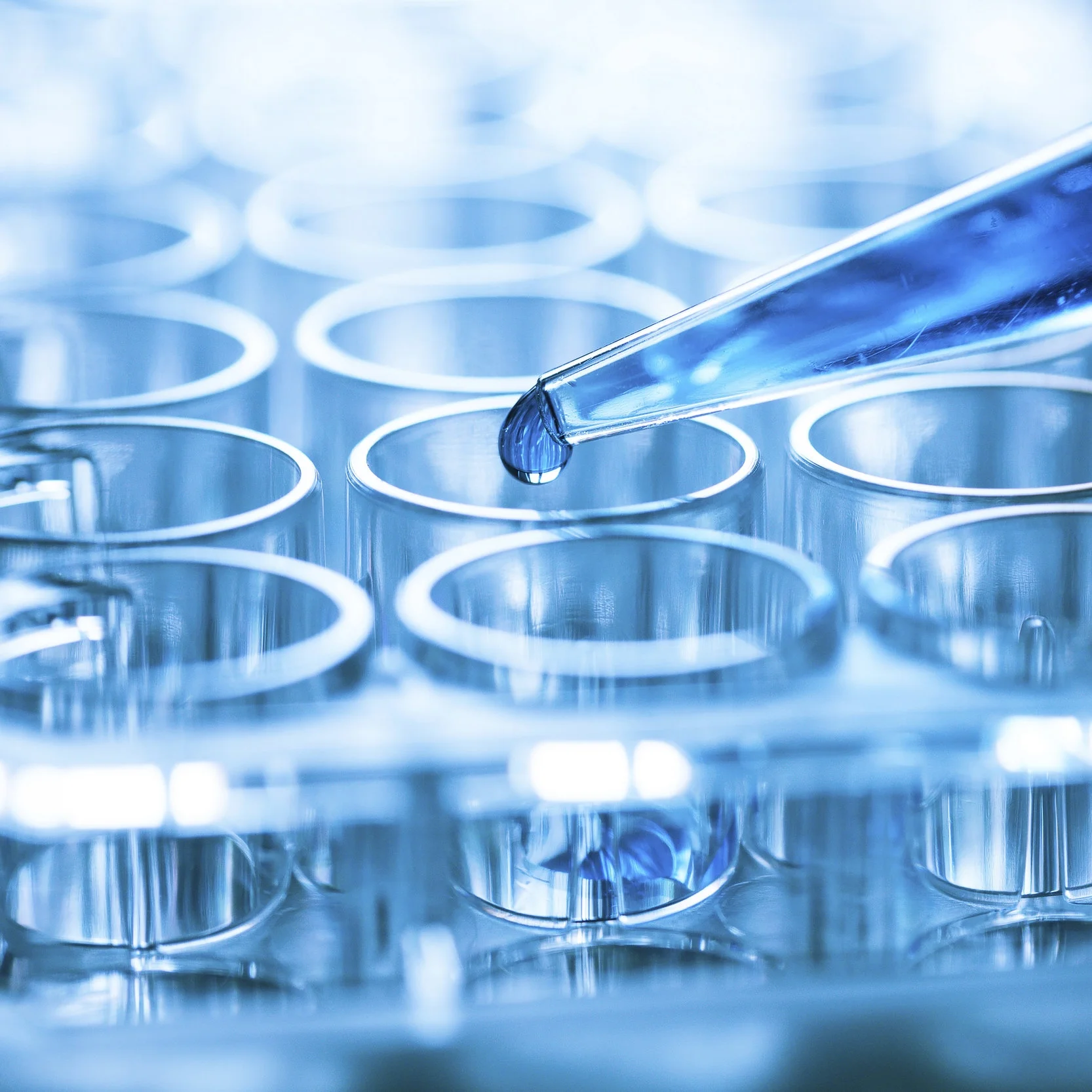 life sciences blue.jpg