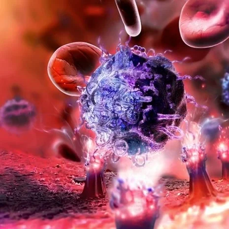Immunology.jpg