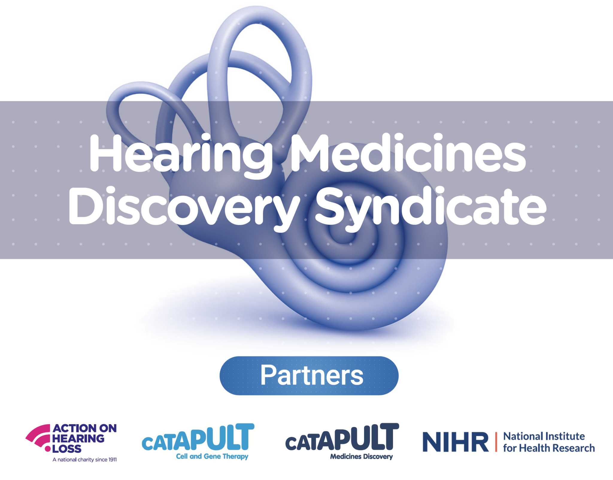  Hearing Medicines Discovery Syndicate launches to fast-track the development of hearing therapeutics