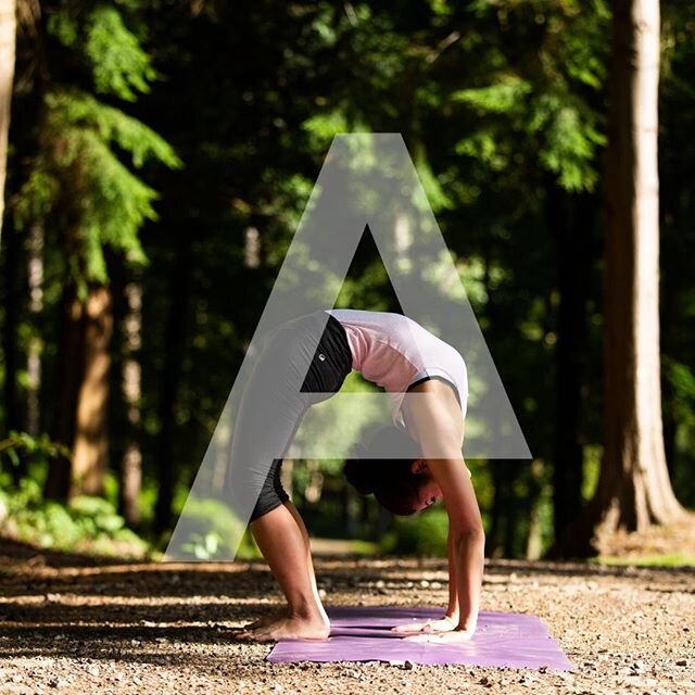 M O N D A Y  M O T I V A T I O N ☀️⁠
⁠
We hope you all had a gorgeous #sunny weekend ➡️ It's a new week with new #challenges and the sun is still shining.⁠
⁠
Whether it's #wellness or work you're focusing on this morning, don't forget to take 5 minut