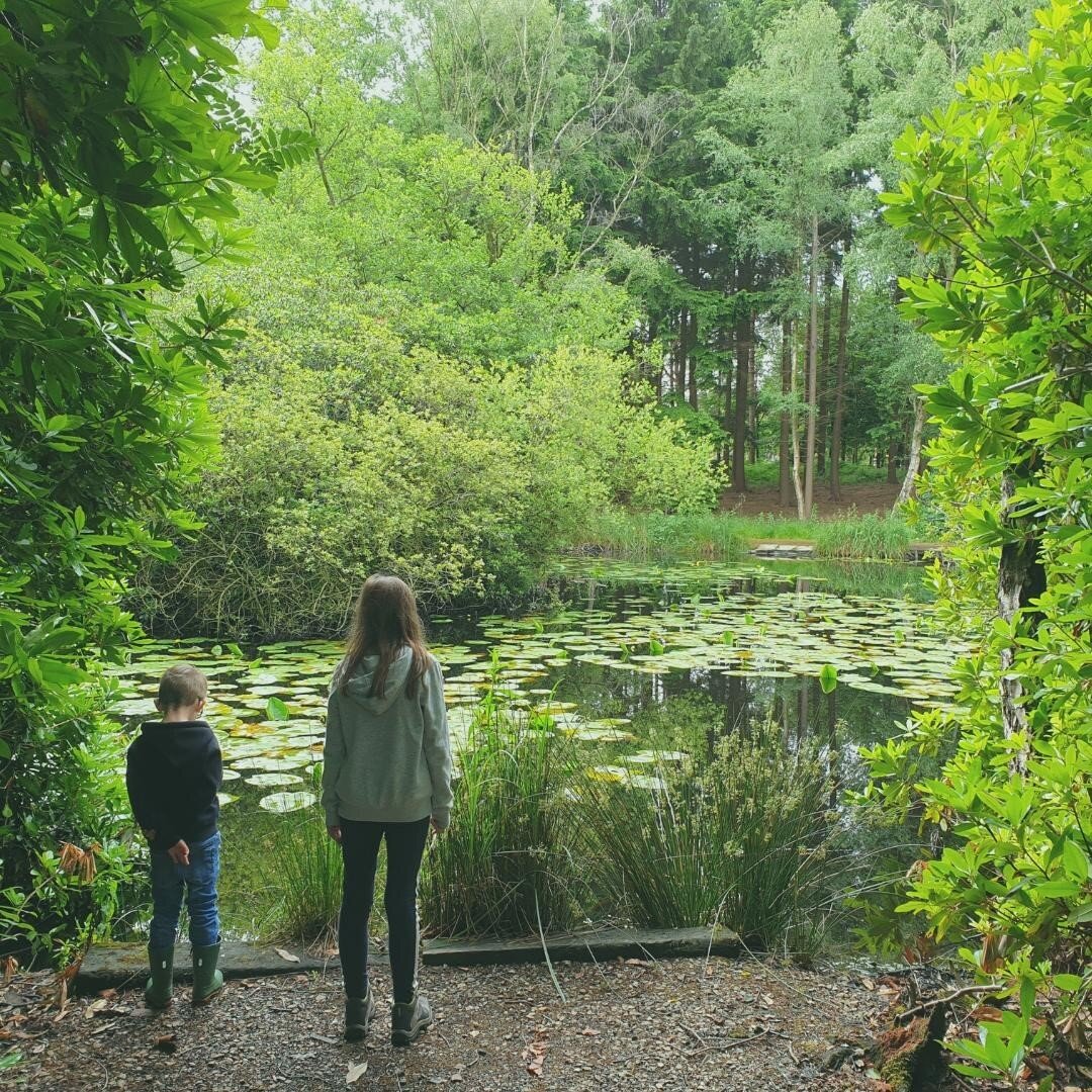 W O O D L A N D  W A N D E R I N G 🌳🍃⁠
⁠
Have you explored the magical woodlands of #AlderleyPark?⁠
⁠
Whether it's a lunch time stroll escaping from the lab or your desk, or family adventure at the weekend, there's 400 acres of parkland, woodland a