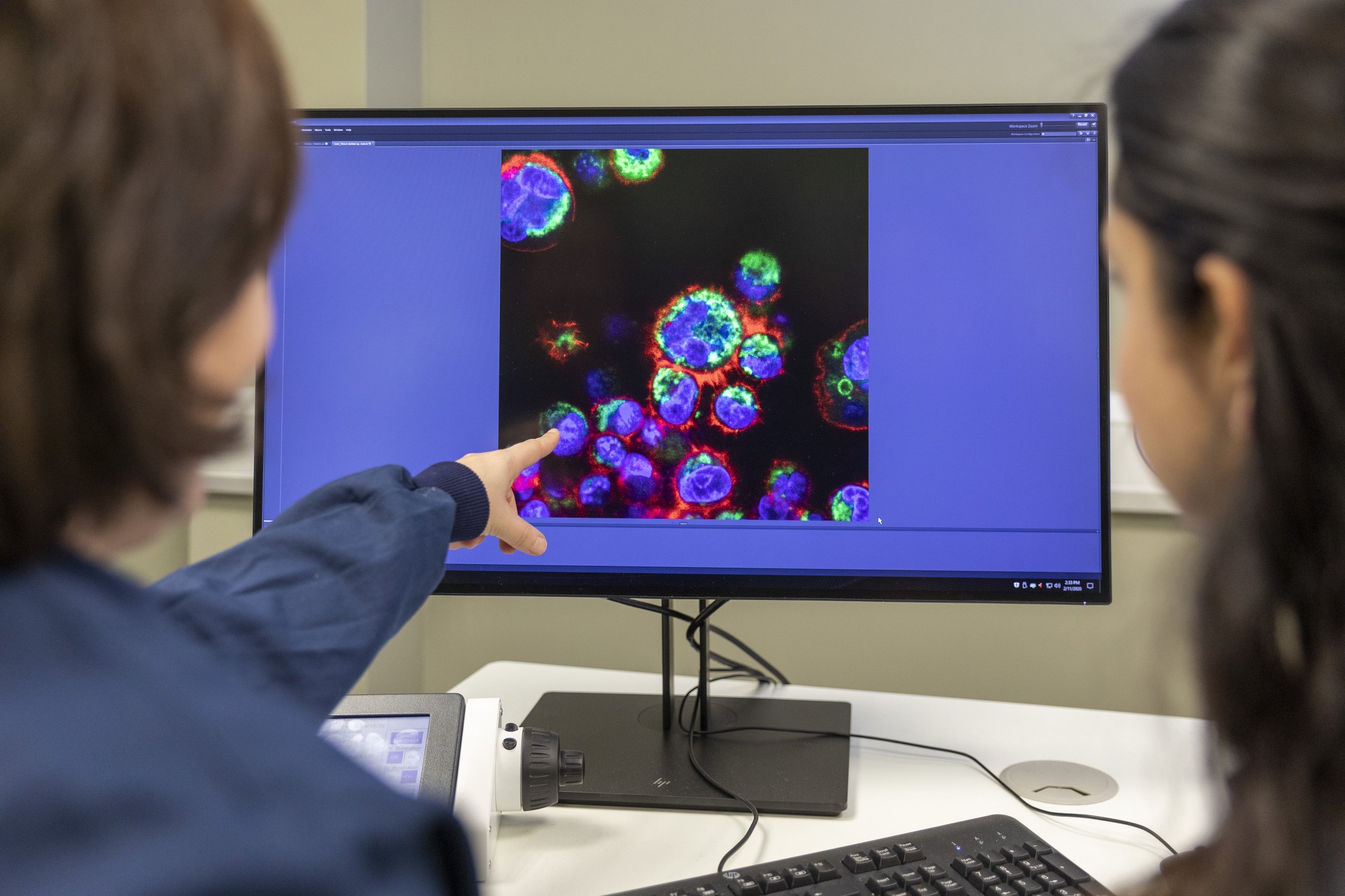 Medicines Discovery Catapult and ZEISS Set Sights on Advancing Microscopy 