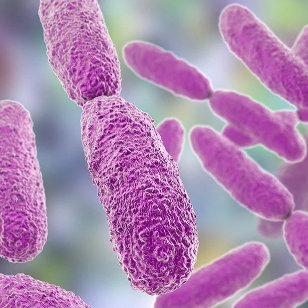 UKHSA announced as first PACE collaboration to help tackle deadly antimicrobial resistance