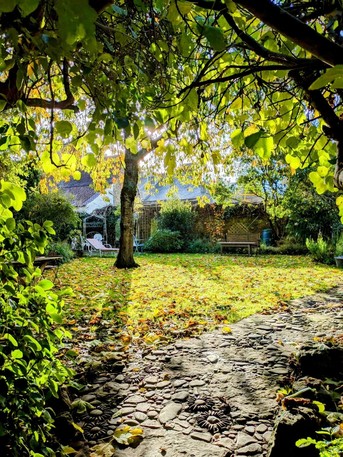 Olwyn Foundation WE GROW Breakfast | 20 May