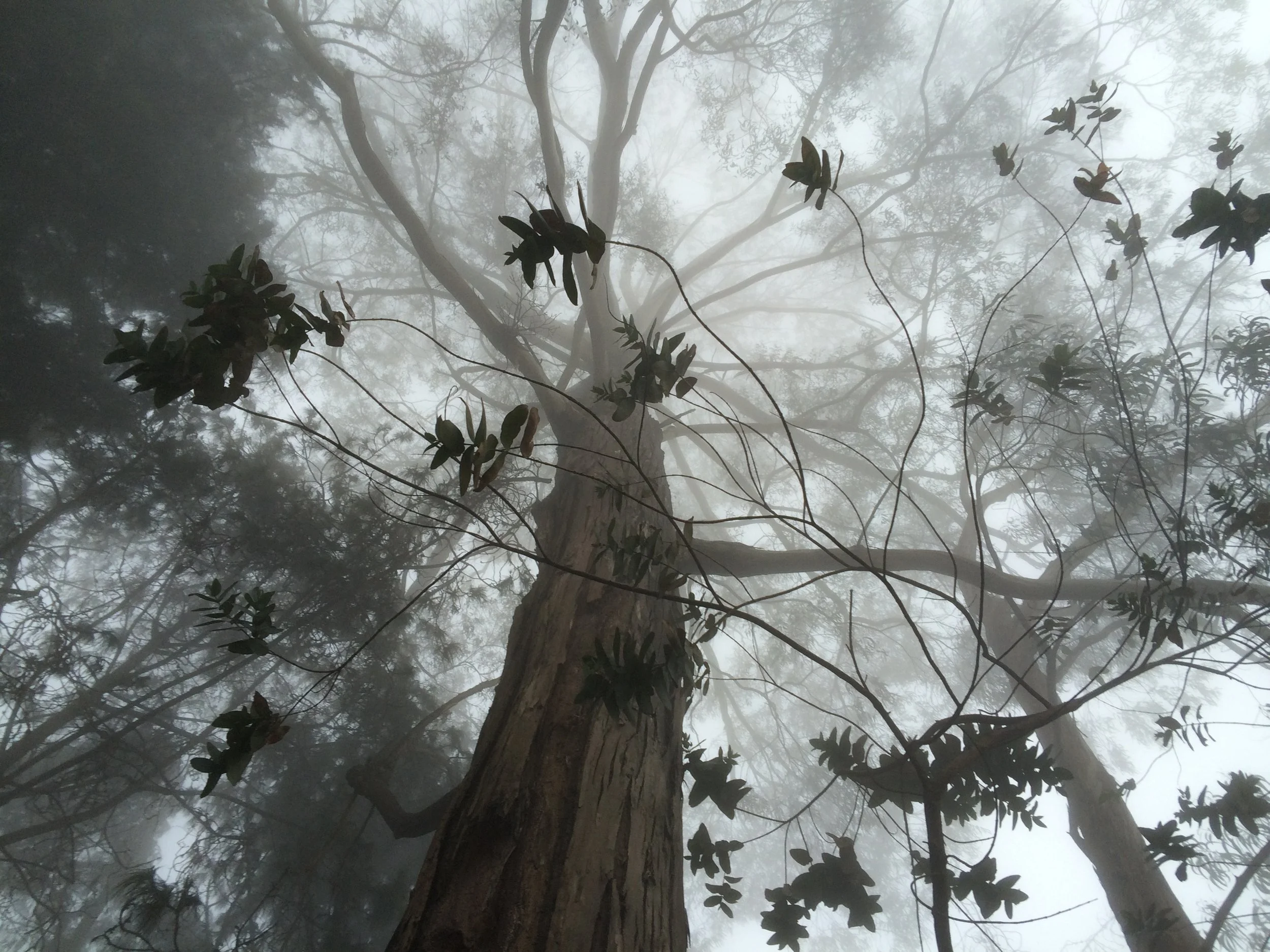 Fichier 16-03-16 12 36 14.jpeg