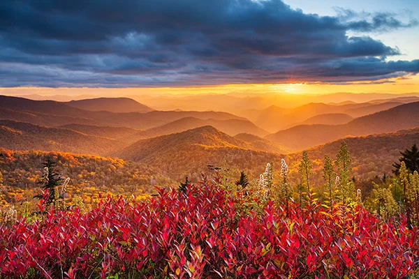 Autumn-Awakening.jpg