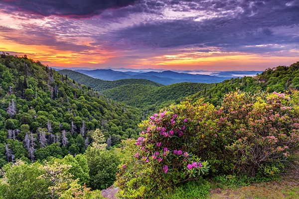 Appalachian-Charm.jpg