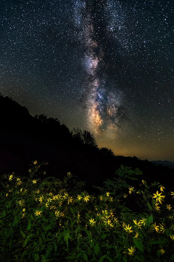 Under the starry night.jpg