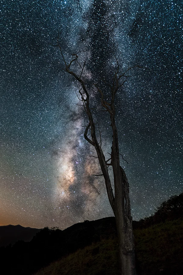 UndertheMilkyWay.jpg