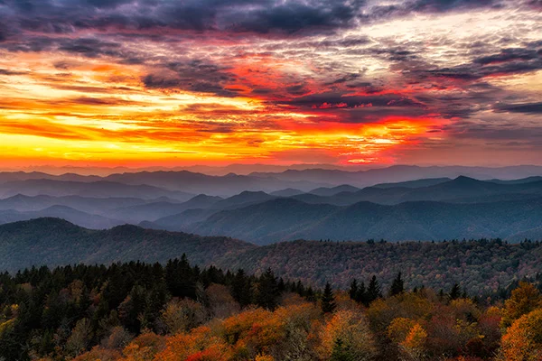 Cowee-Fall.jpg