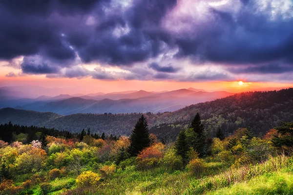 Spring_Cowee_Sunset.jpg