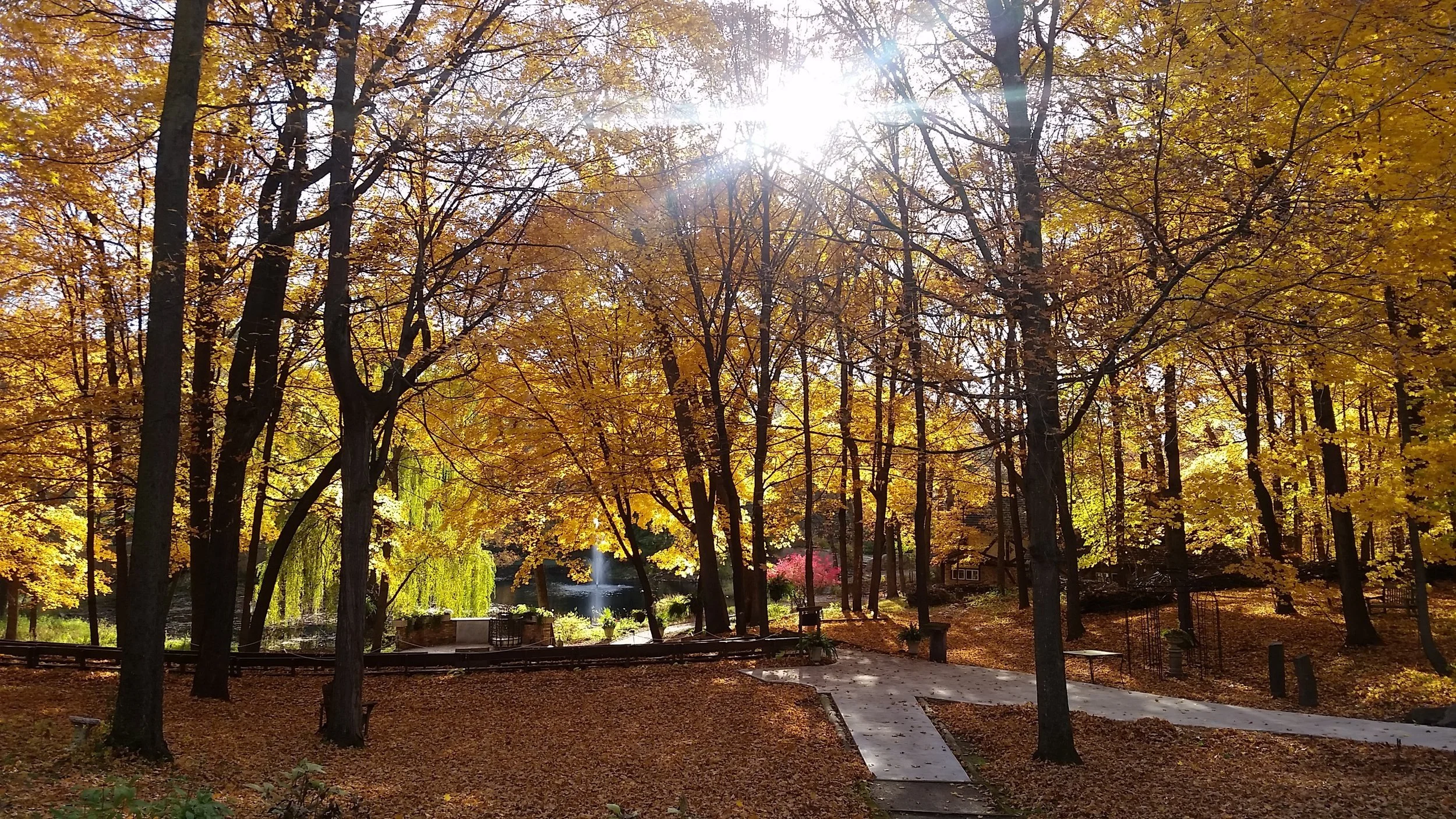 Beautiful Fall Weddings in the Woods 