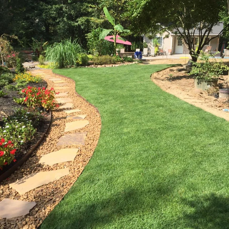backyard.jpg