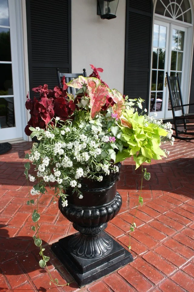 mixed pot3.jpg
