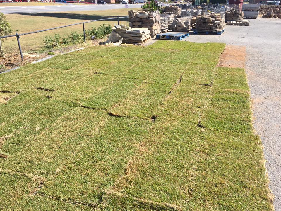 sod and rock.jpg