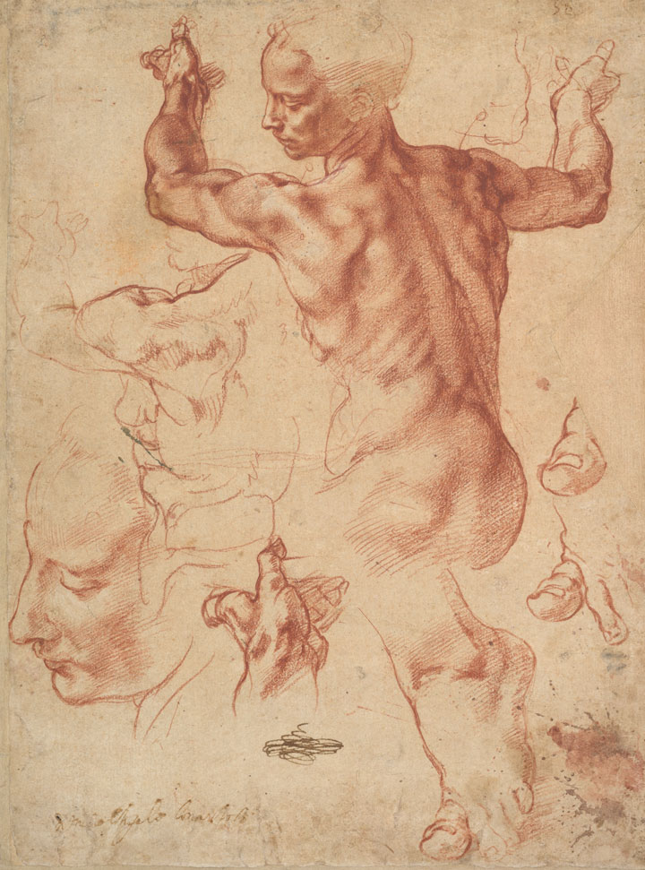 Michelangelo Buonarroti (Italian, 1475–1564). Studies for the Libyan Sibyl . Red chalk, with small accents of white chalk on the left shoulder of the figure in the main study. The Metropolitan Museum of Art, New York, Purchase, Joseph Pulitz