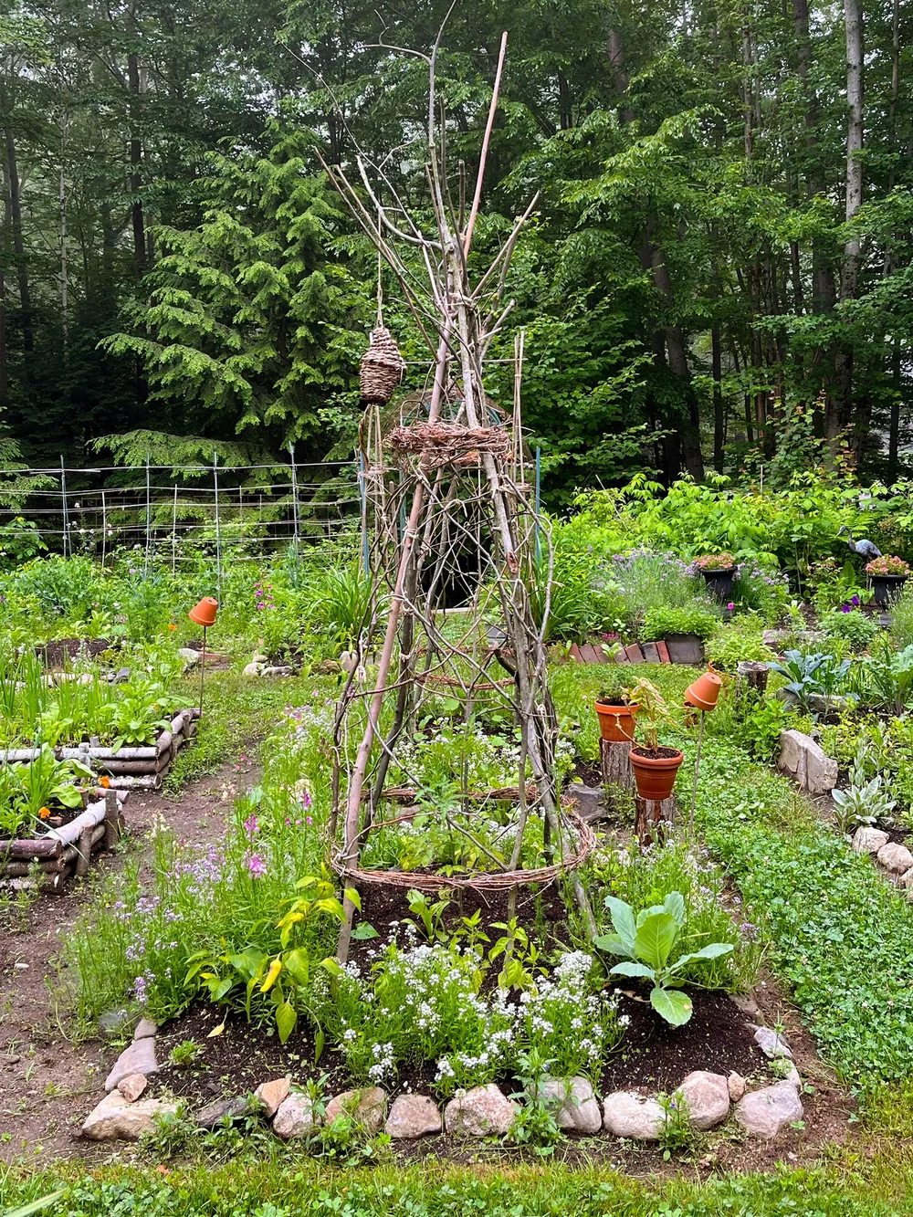 Finch + Folly — How to Build a Garden Trellis out of Branches