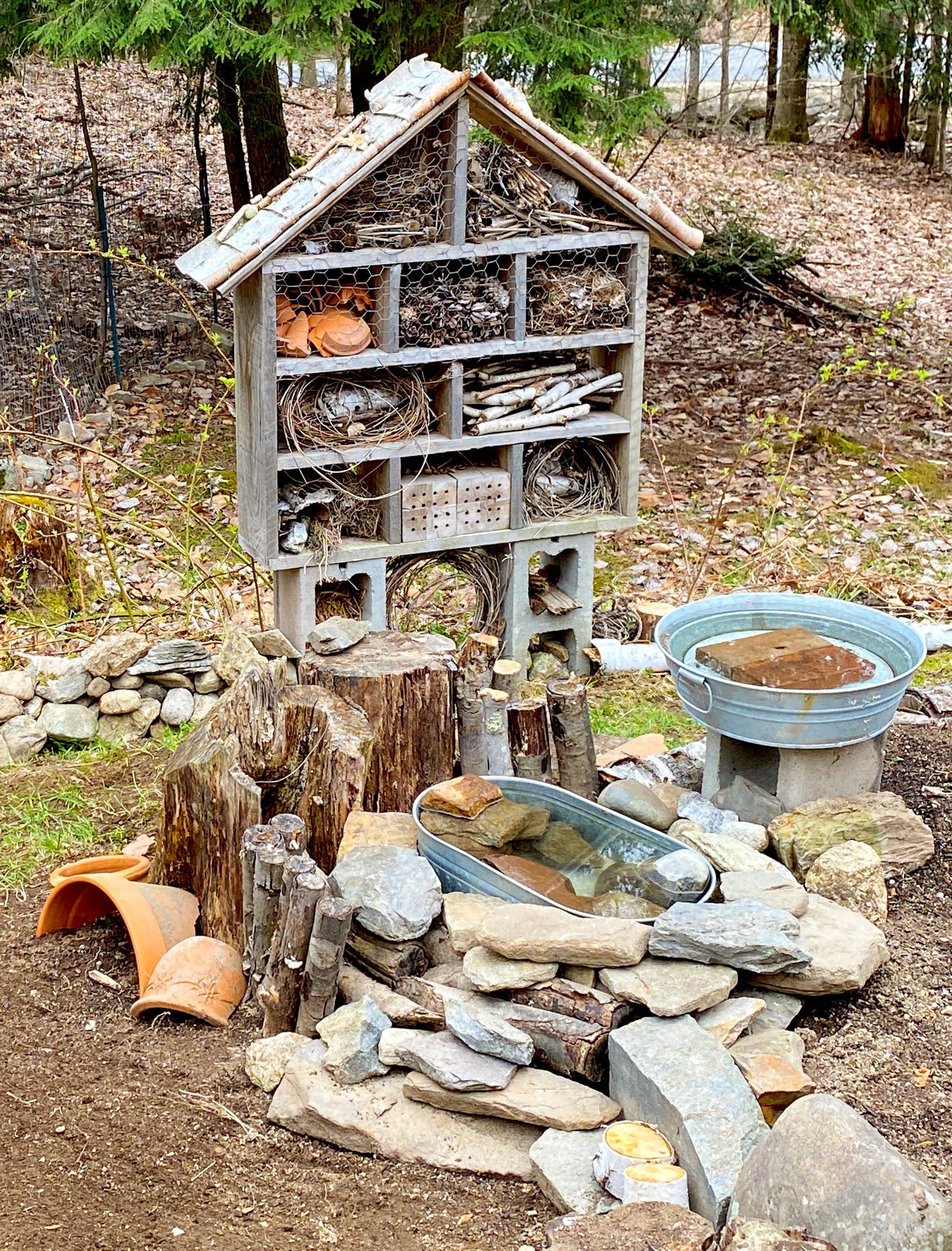 Finch + Folly — Create Your Own Wildlife Nook: A Step-by-Step Guide with  Watering Hole