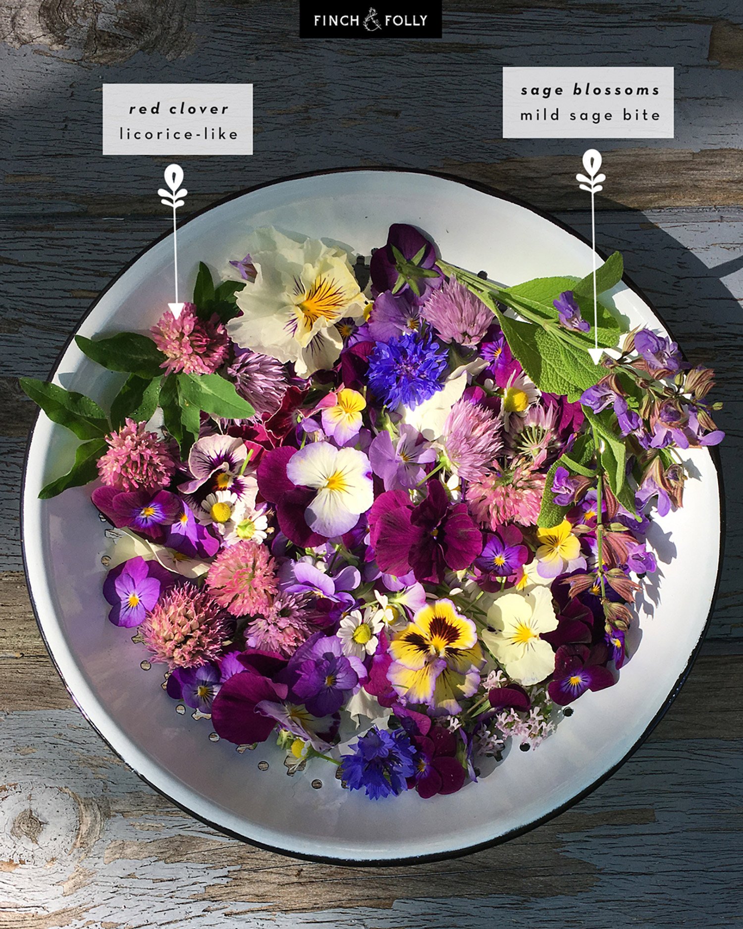 Finch + Folly — Edible Flowers: What they Taste Like & How to Use