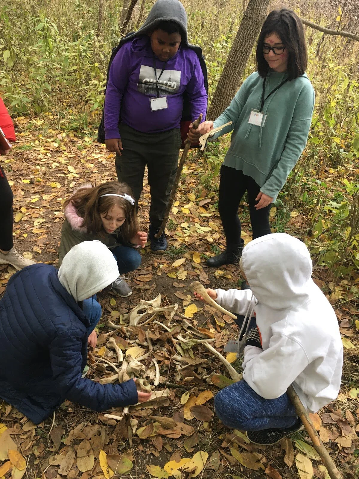 Missouri Botanical Garden and The Litzsinger Road Ecology Center (LREC)
