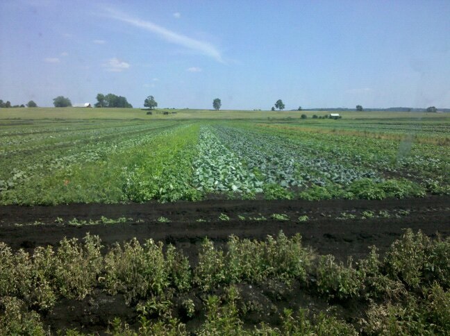 Resources Photo.jpg
