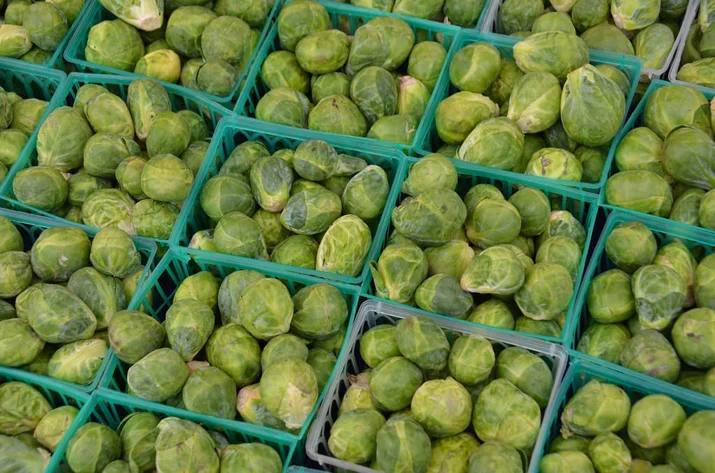 brussel-sprouts.jpg