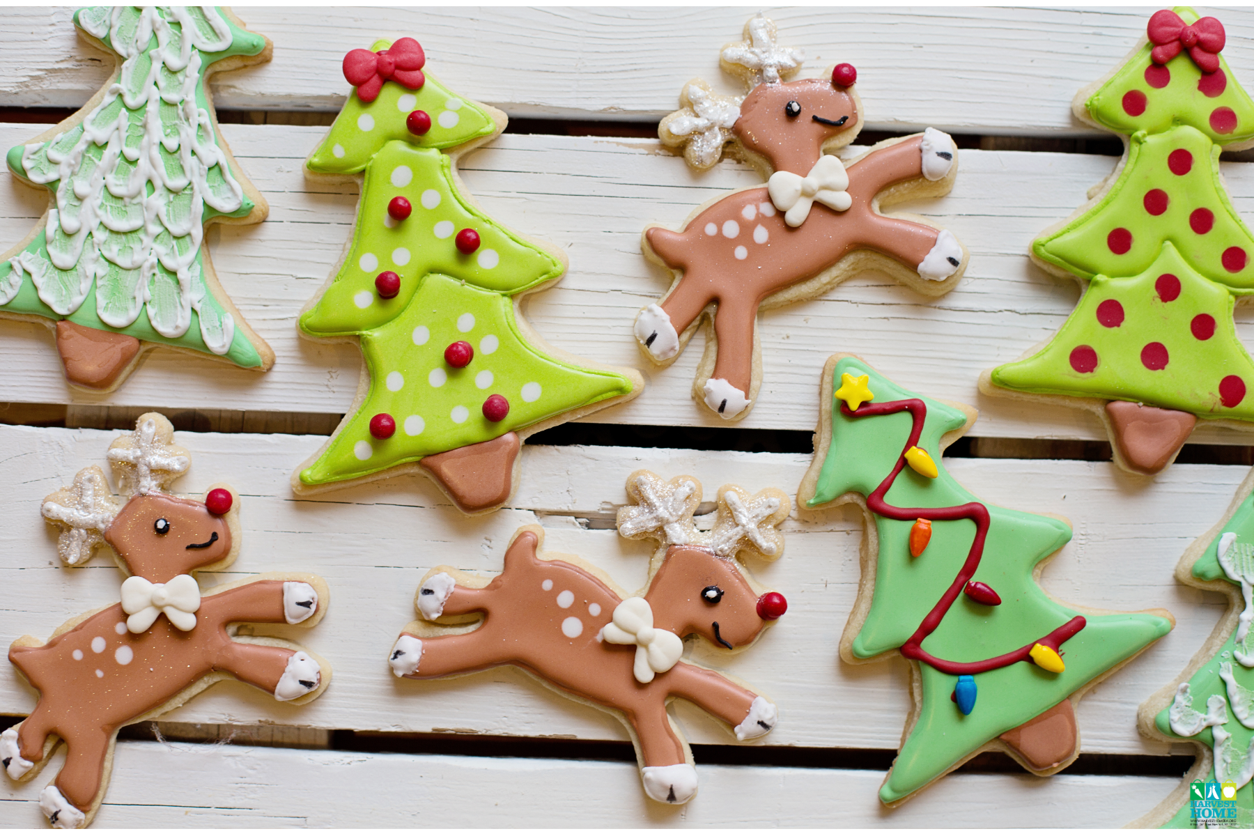 Joyfully Sharing&nbsp;- Christmas, Hanukkah, Or Kwanza.