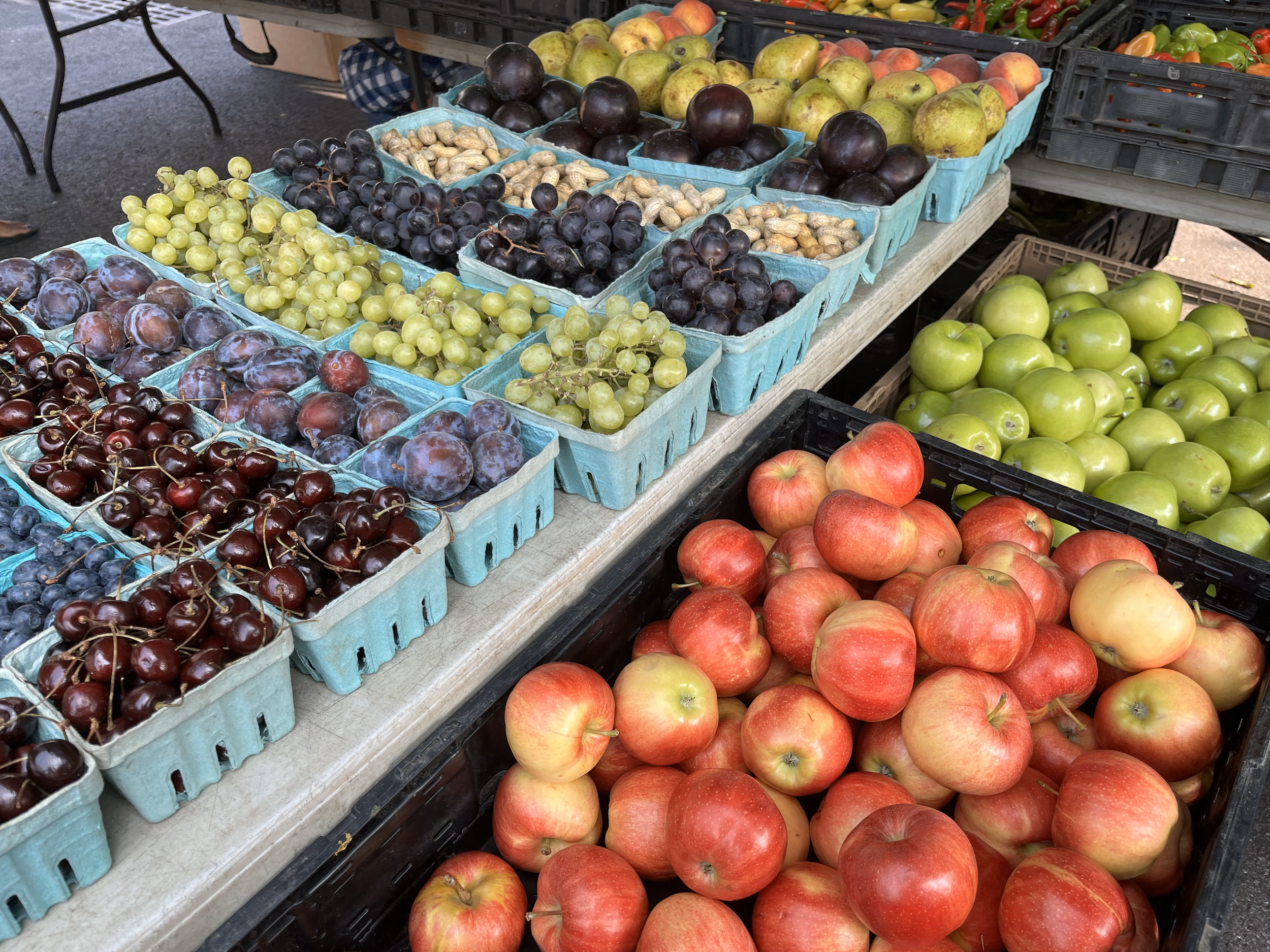 We’re Back - Fresh fruit &amp; veggies in your neighborhood