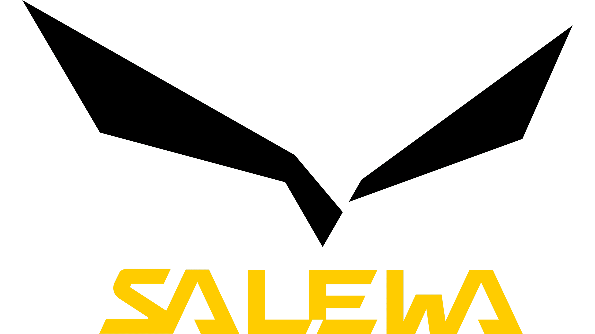 Salewa-logo preso dal web.png