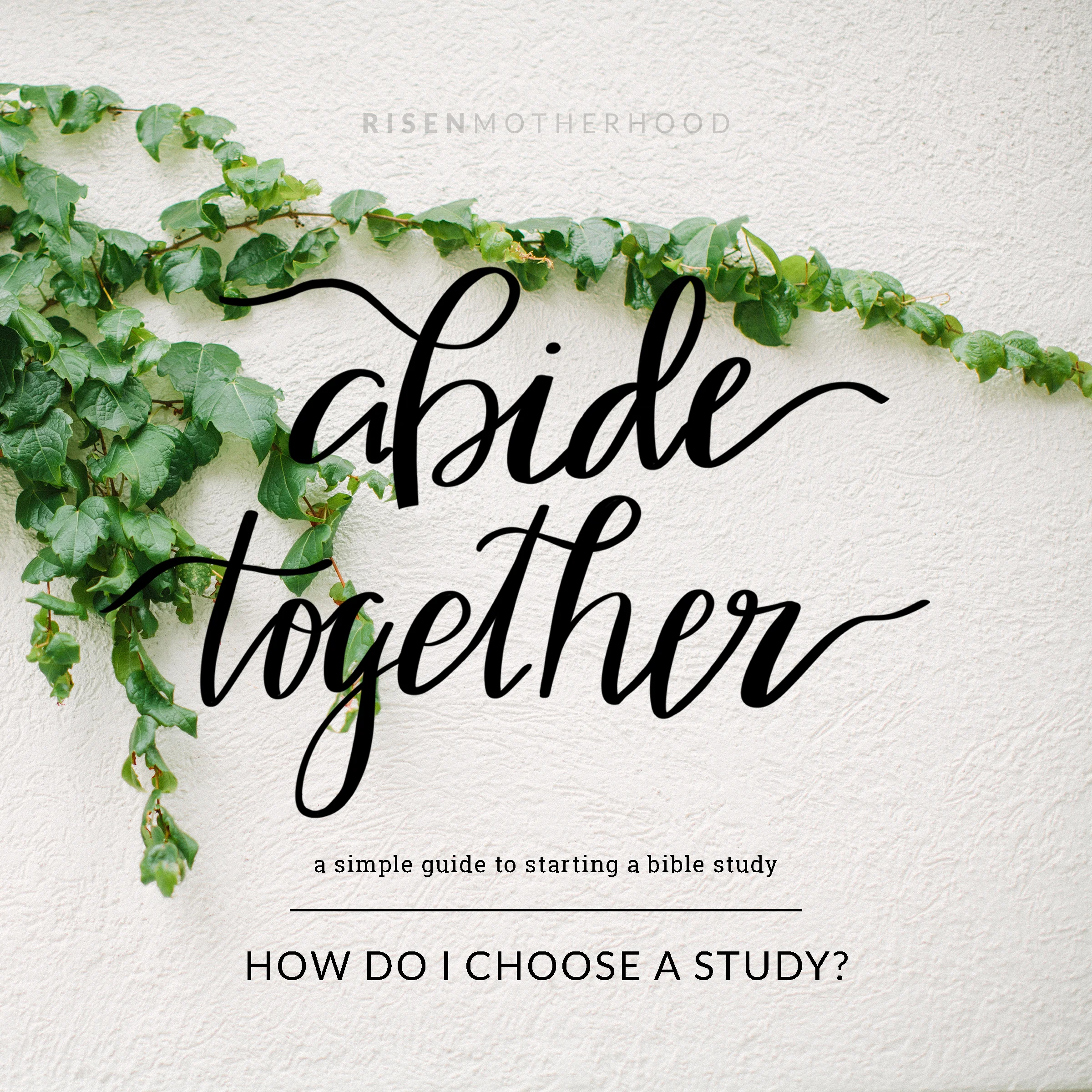 AbideTogether3.jpg
