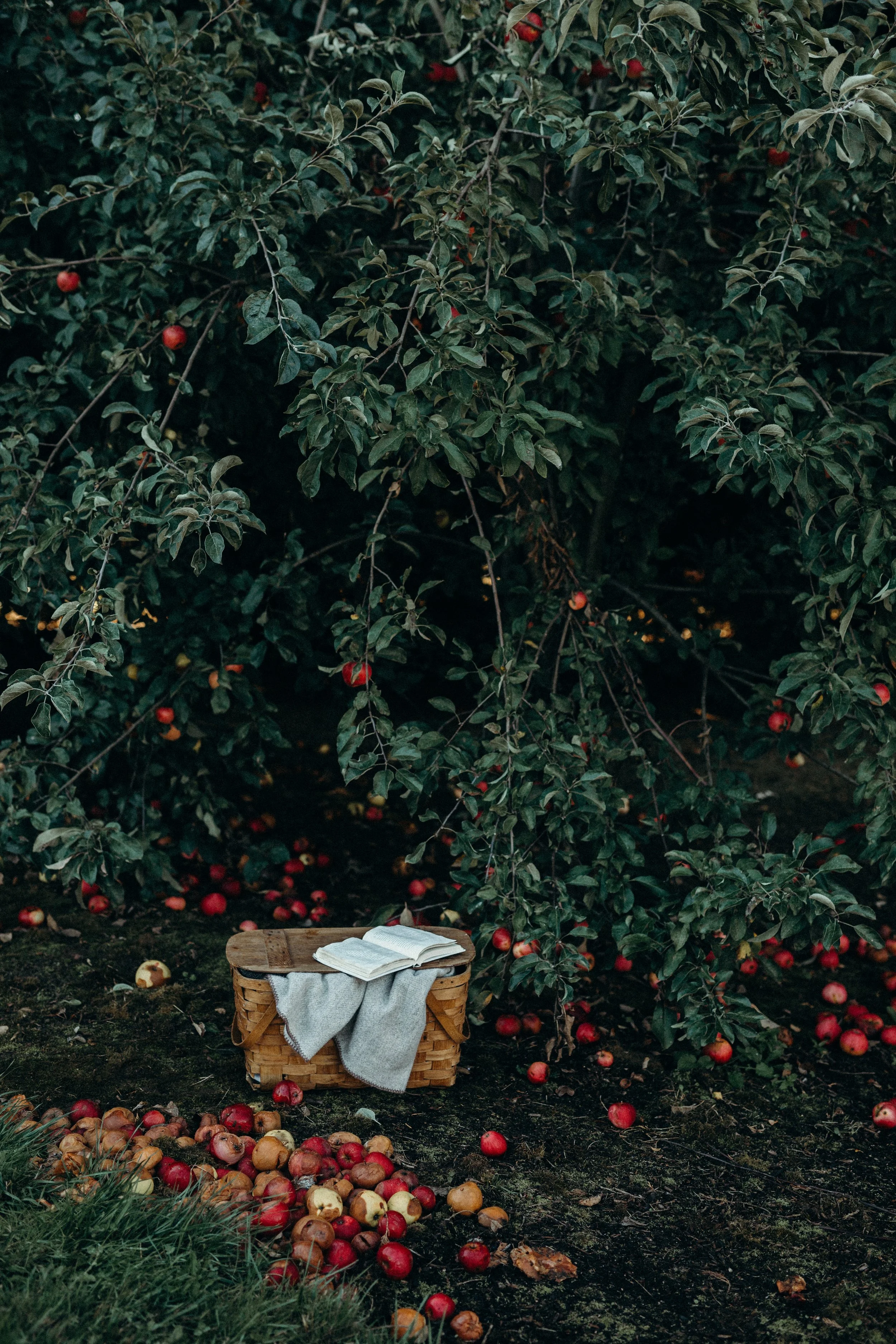 liana-mikah-393875-unsplash.jpg