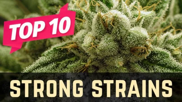 strong-640x360-4015246853.jpg