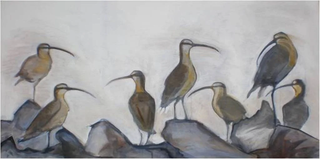 Waiting Whimbrels & Three Whimbrels
