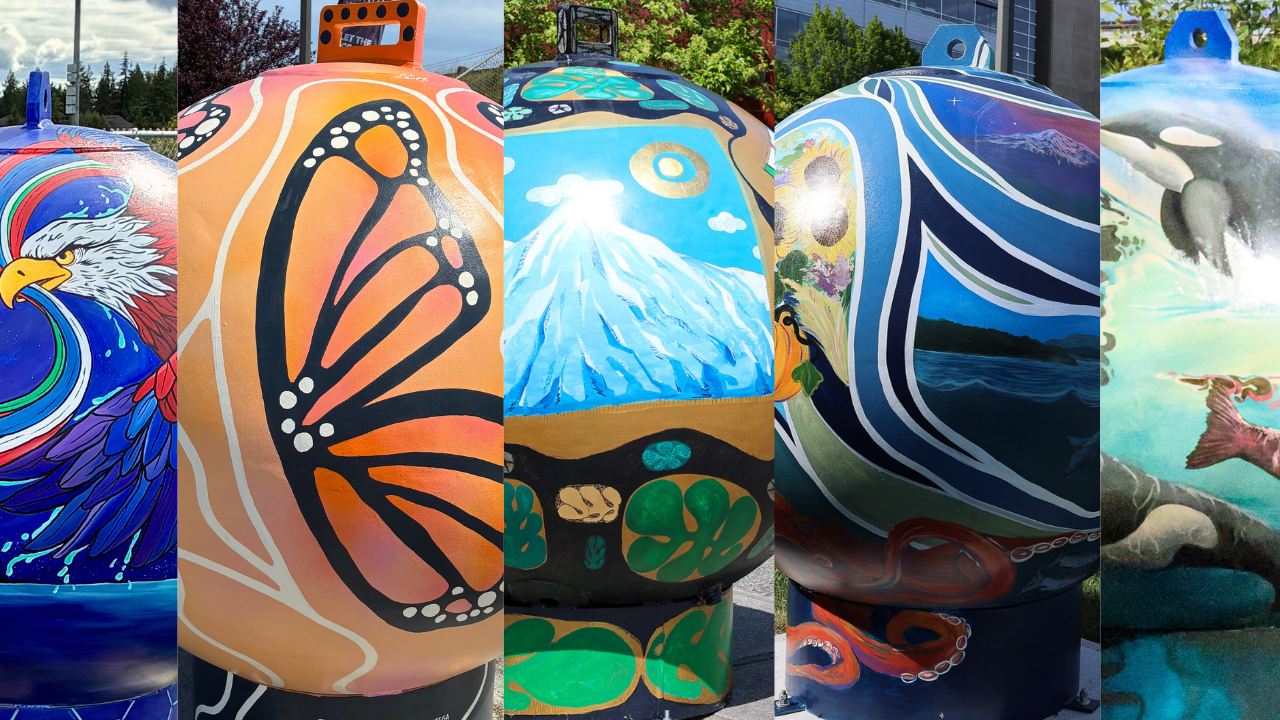 Case Study: The Great Soccer Ball Hunt