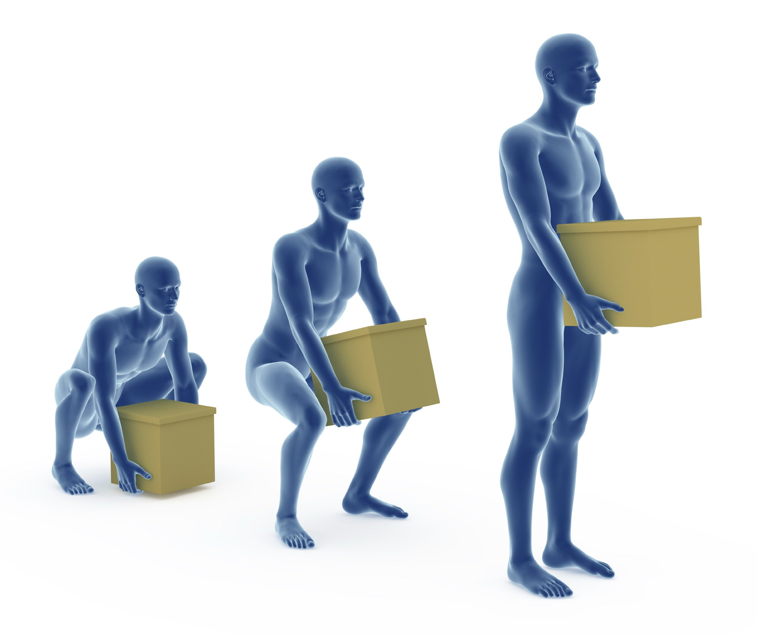 Maintaining Proper Spinal Alignment — Lanier Therapy in Motion