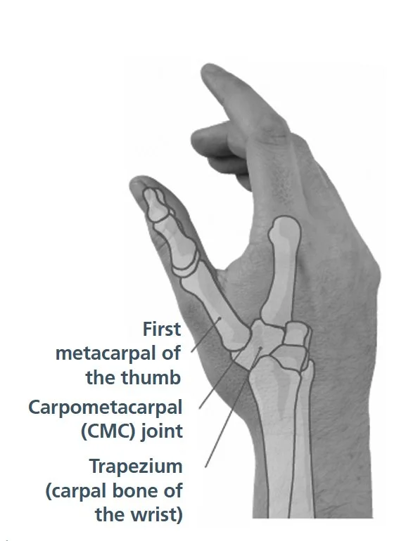 Treating your Thumb Pain — Lanier Therapy in Motion