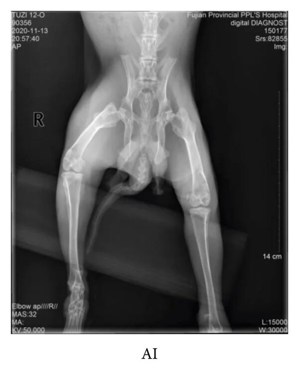 Blog — Lanier Therapy in Motion