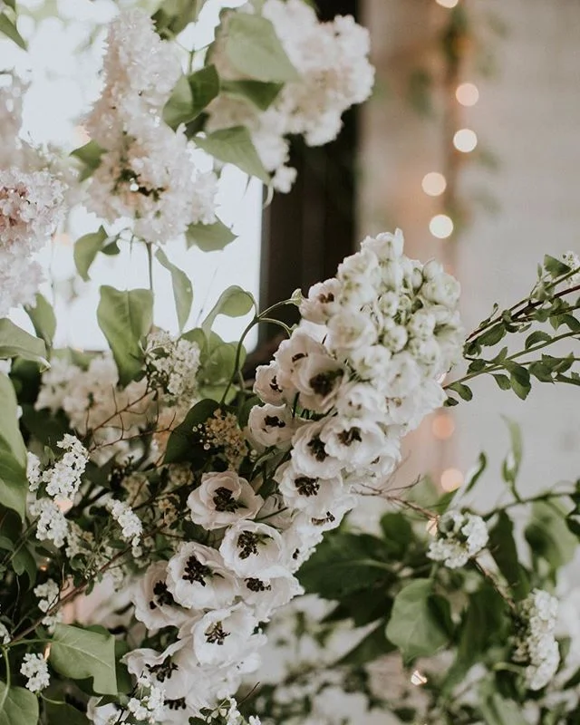 Be still my heart, if only delphinium always came so luscious. So many flowers coming up on this spring day 🌸🌸🌸 yay!! What should we plant? We&rsquo;re thinking poppy, muscari &amp; some climbing hydrangea. What are your favorites that can handle 