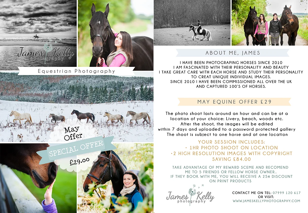 Equine Offer