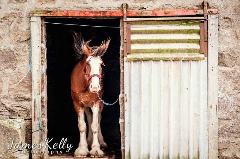 Hurricane Winds: Arlene + Lady May
