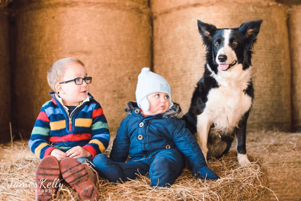 John Deere, 2 Kids, 2 Dogs, Parents, Chickens, Sheep & Cows