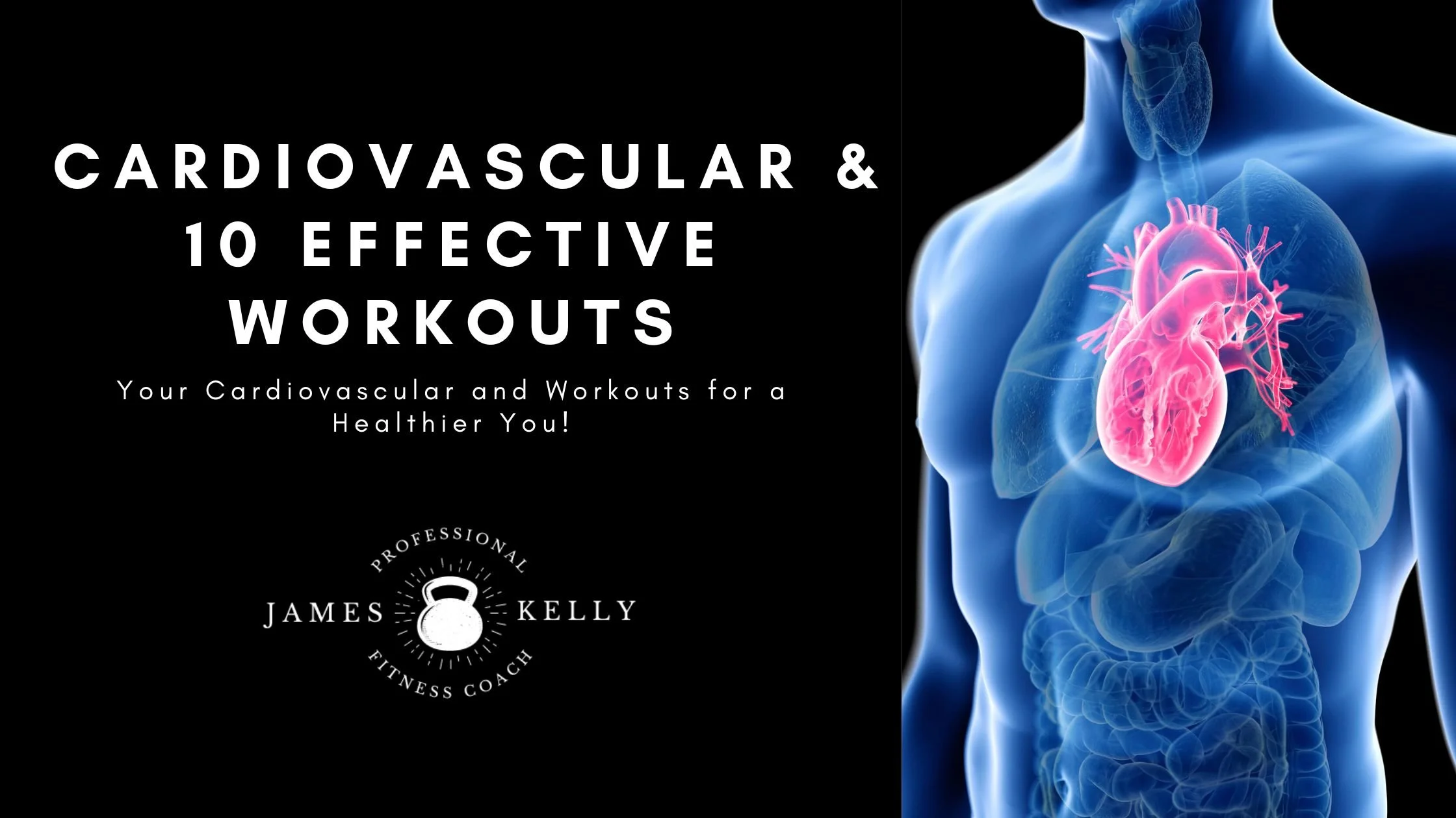 Your Cardiovascular Fitness &amp; 10 Effective Workouts to Supercharge