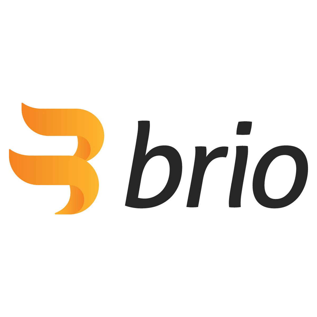 brio-product-group-logo