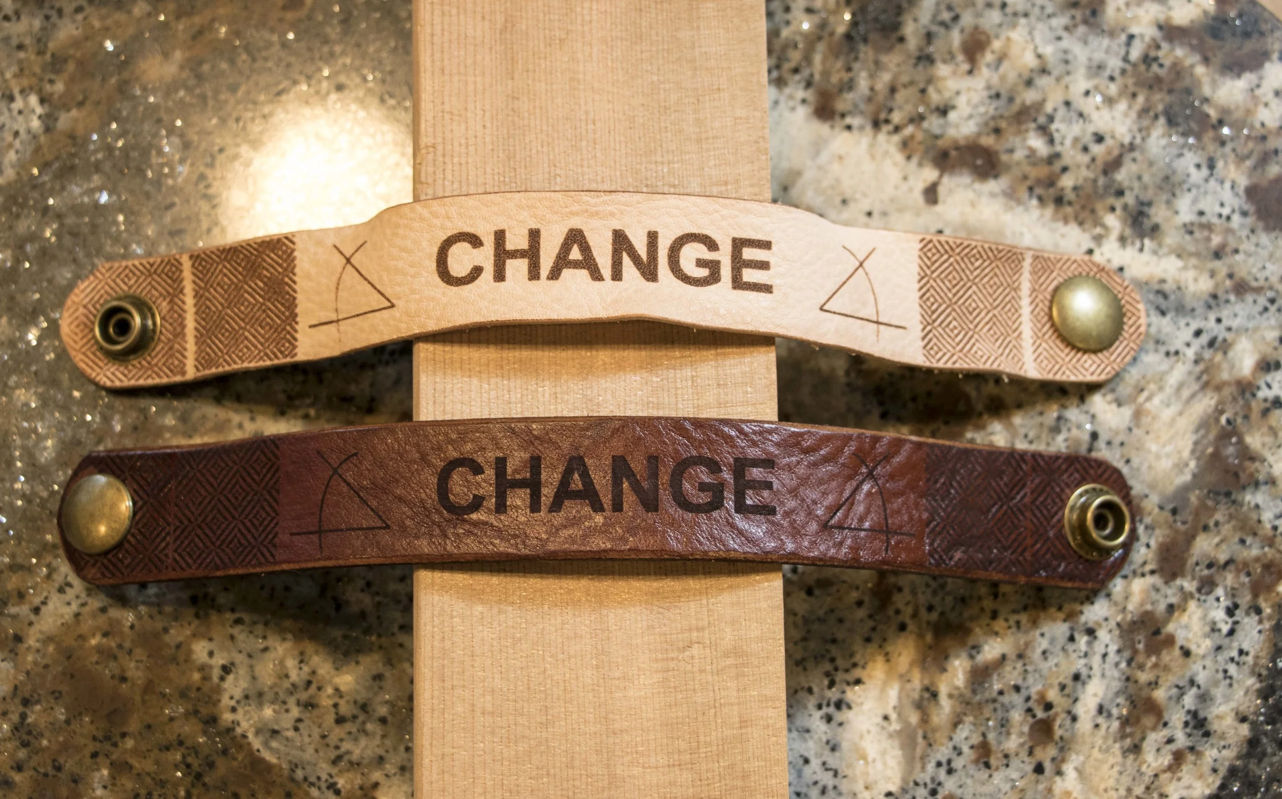 IMG_4295_change_family_modified_v1.jpg